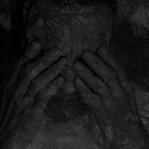 Fotoğraf Didier Sauvegrain