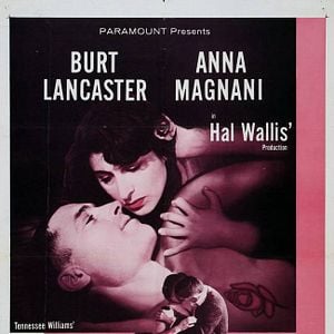 Fotoğraf Kırmızı Gül