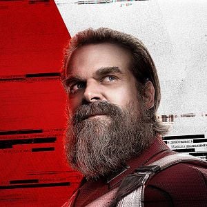 Fotoğraf Black Widow