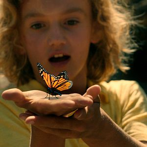Fotoğraf The Boy, the Dog and the Clown