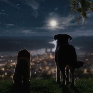 Fotoğraf Lady And The Tramp