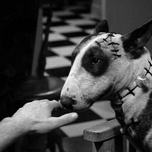 Fotoğraf Frankenweenie