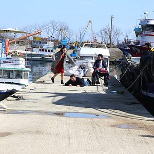 Fotoğraf Kuzey Yıldızı (ilk aşk)
