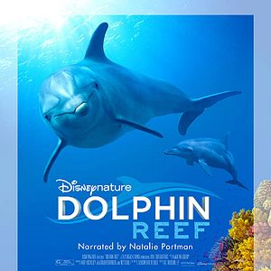 Fotoğraf Dolphin Reef