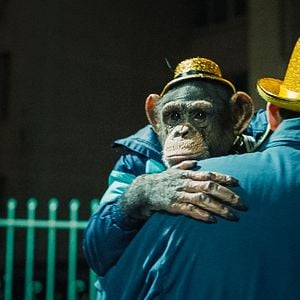 Fotoğraf Space Dogs