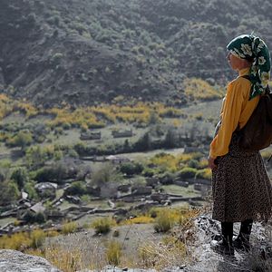 Fotoğraf Bal Ülkesi