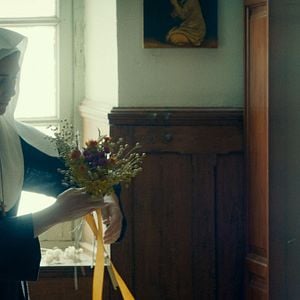 Fotoğraf De l’or pour les chiens