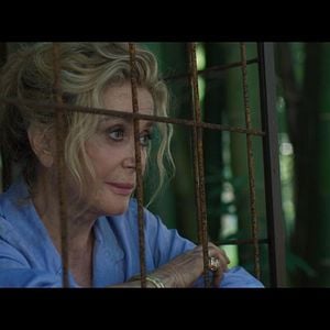 Fotoğraf Terrible Jungle