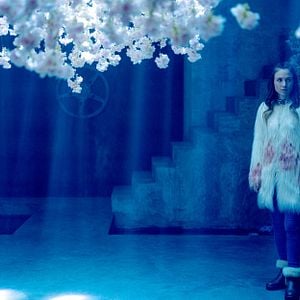 Fotoğraf Dominique Provost-Chalkley