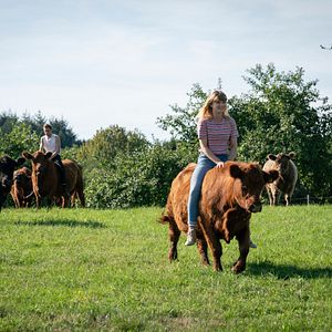 Fotoğraf Sinje Irslinger