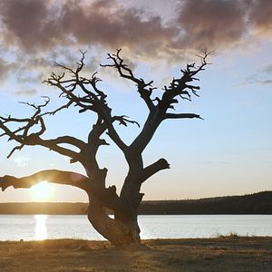 Fotoğraf Bir Düş Gördüm