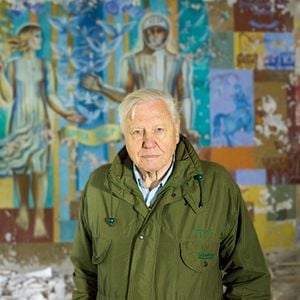 Fotoğraf David Attenborough: Gezegenimizde Bir Yaşam