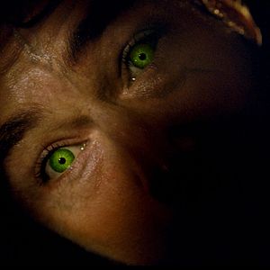 Fotoğraf The Incredible Hulk