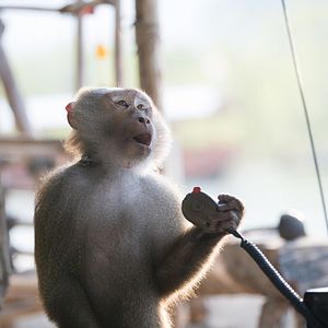 Fotoğraf Tremors: Shrieker Island