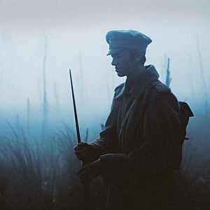 Fotoğraf Dveselu putenis