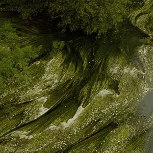 Fotoğraf Lúa Vermella