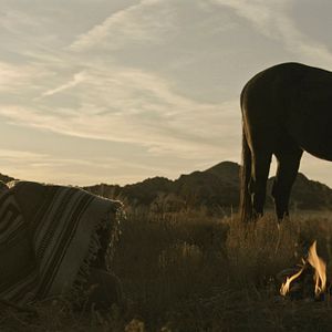 Fotoğraf Dünyadan Haberler