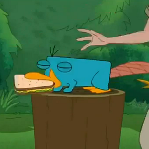 Fotoğraf Phineas and Ferb