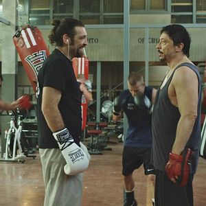 Fotoğraf Akrebin Aşkı