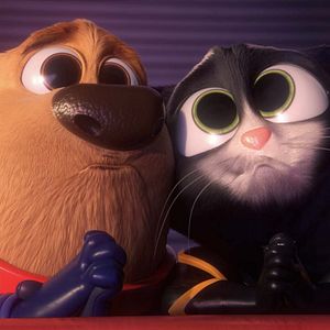 Fotoğraf Süper Köpek ve Turbo Kedi