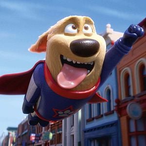 Fotoğraf Süper Köpek ve Turbo Kedi