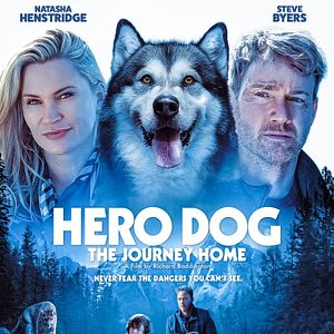 Fotoğraf Hero Dog: The Journey Home
