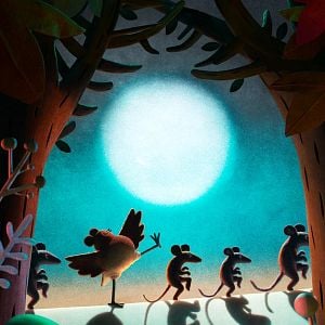 Fotoğraf Robin Robin