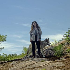 Fotoğraf Le Loup et le Lion