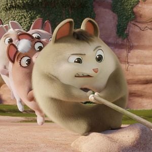 Fotoğraf Türünün Son İki Örneği