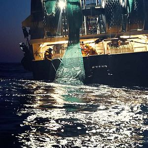 Fotoğraf Seaspiracy