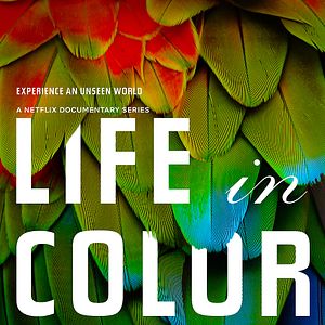 Fotoğraf David Attenborough ile Yaşamın Renkleri