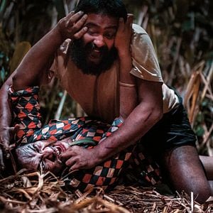 Fotoğraf Jallikattu