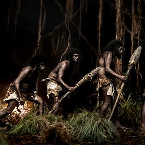 Fotoğraf Jallikattu