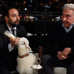 Fotoğraf Yasak Elma