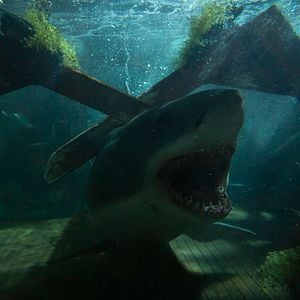 Fotoğraf Great White