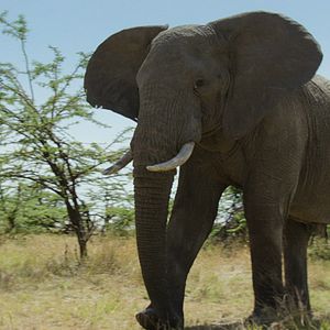 Fotoğraf Gezegenimizin Kritik Eşikleri