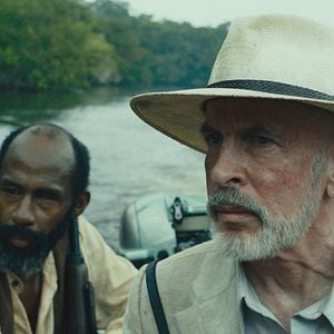 Fotoğraf Trajik Orman