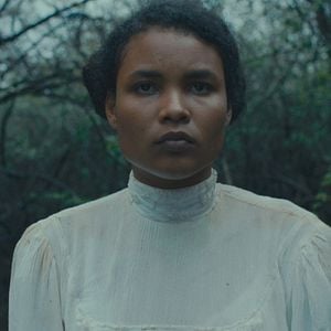 Fotoğraf Trajik Orman