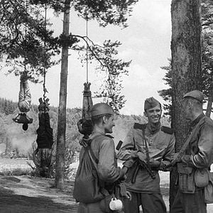 Fotoğraf Boyalı Kuş