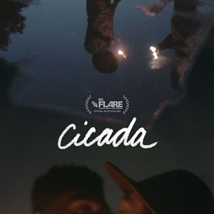 Fotoğraf Cicada