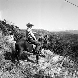 Fotoğraf Les Aventures de Poly