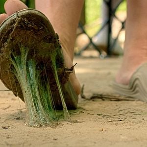 Fotoğraf Scare Package