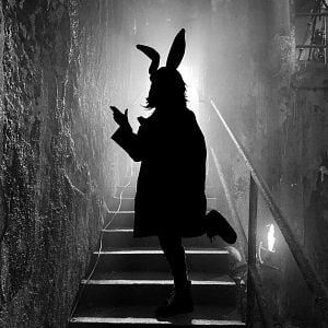 Fotoğraf Borderlands