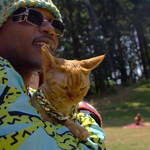 Fotoğraf Cat People