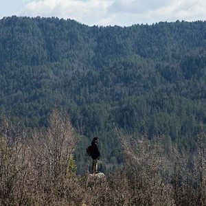 Fotoğraf John David Washington