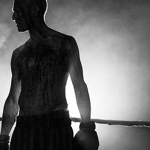 Fotoğraf The Survivor