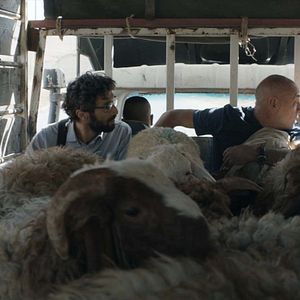 Fotoğraf David Field