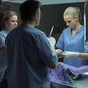 Fotoğraf Sarah Le Picard