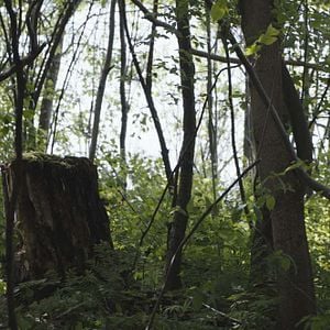 Fotoğraf Rebecca Hall