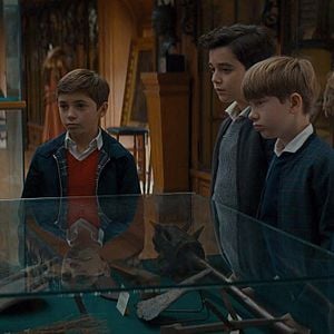 Fotoğraf Pıtırcık